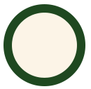 bullet icon